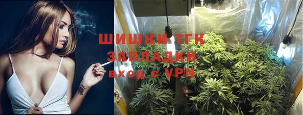 соль ск Алзамай