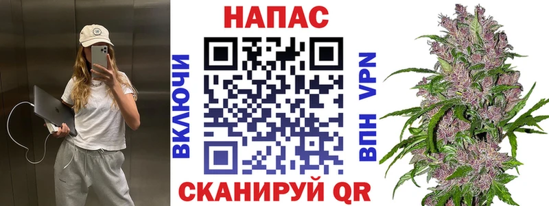 купить наркотик  Малаховка  Каннабис Amnesia 